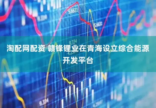淘配网配资 赣锋锂业在青海设立综合能源开发平台