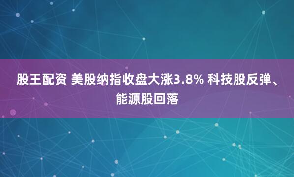 股王配资 美股纳指收盘大涨3.8% 科技股反弹、能源股回落